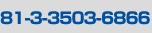 TEL:81-3-3503-6866